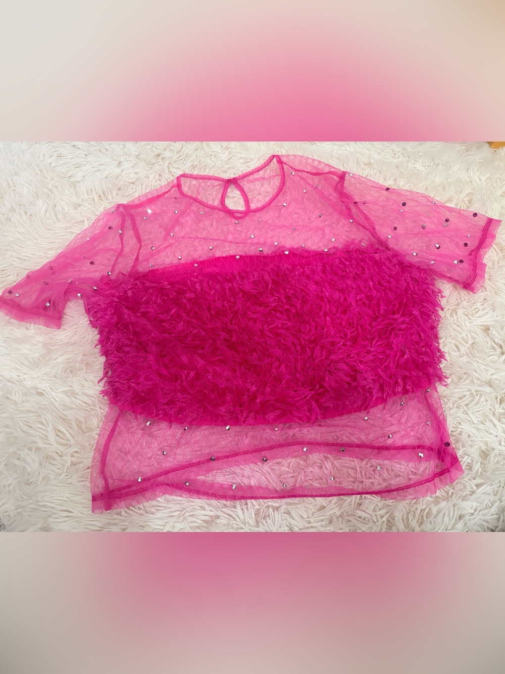 Hot Pink Sheer Mesh Top with Fuzzy Crop Panel - Picture 3 of 4